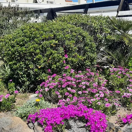 アパート Luxe Port Nature 2 *