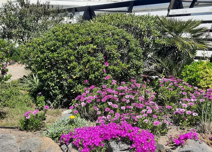 Appartement Luxe Port Nature 2 *